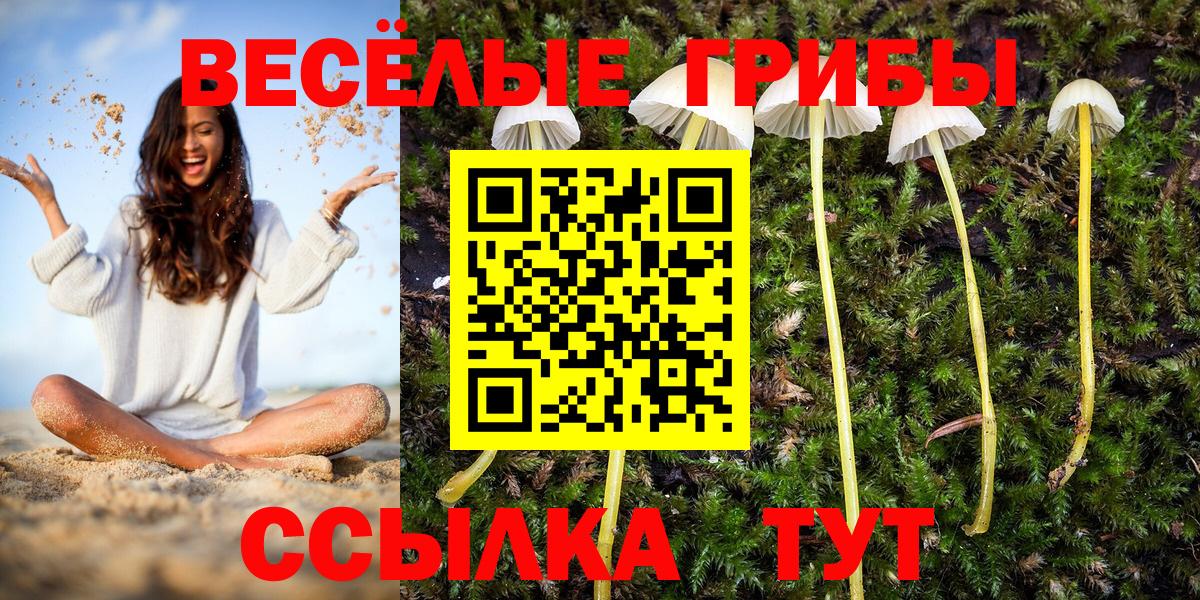 Псилоцибиновые грибы Magic Shrooms  Вход с VPN  Калач-на-Дону 